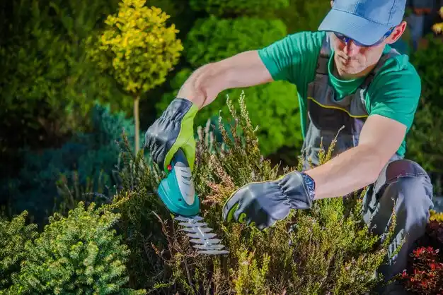 landscaping services Delaware